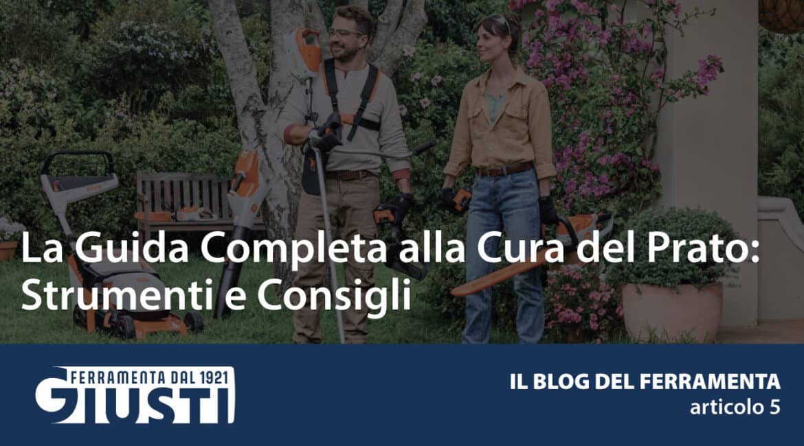La Guida Completa alla Cura del Prato: Strumenti e Consigli