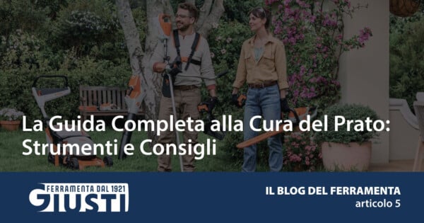 La Guida Completa alla Cura del Prato: Strumenti e Consigli