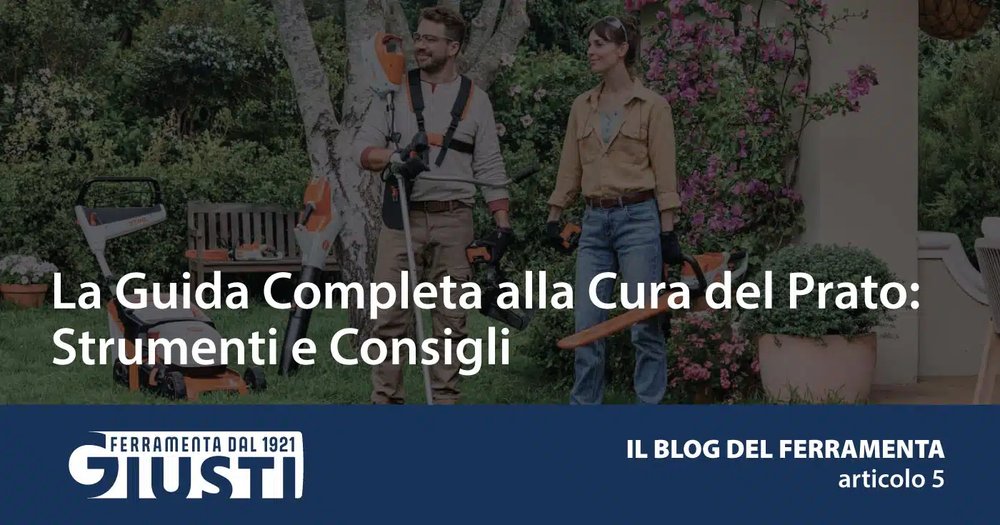 La Guida Completa alla Cura del Prato: Strumenti e Consigli