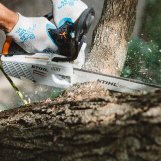 Prodotti in promozione 150 La Motosega MS 194 T di STIHL rappresenta un'eccellenza nel settore delle motoseghe per la cura degli alberi, ideale per gli utenti che necessitano...