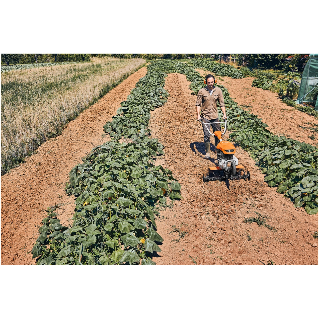 La Motozappa MH 600 di STIHL è un potente strumento per la coltivazione intensiva, perfetto per chi necessita di lavorare su grandi superfici e...