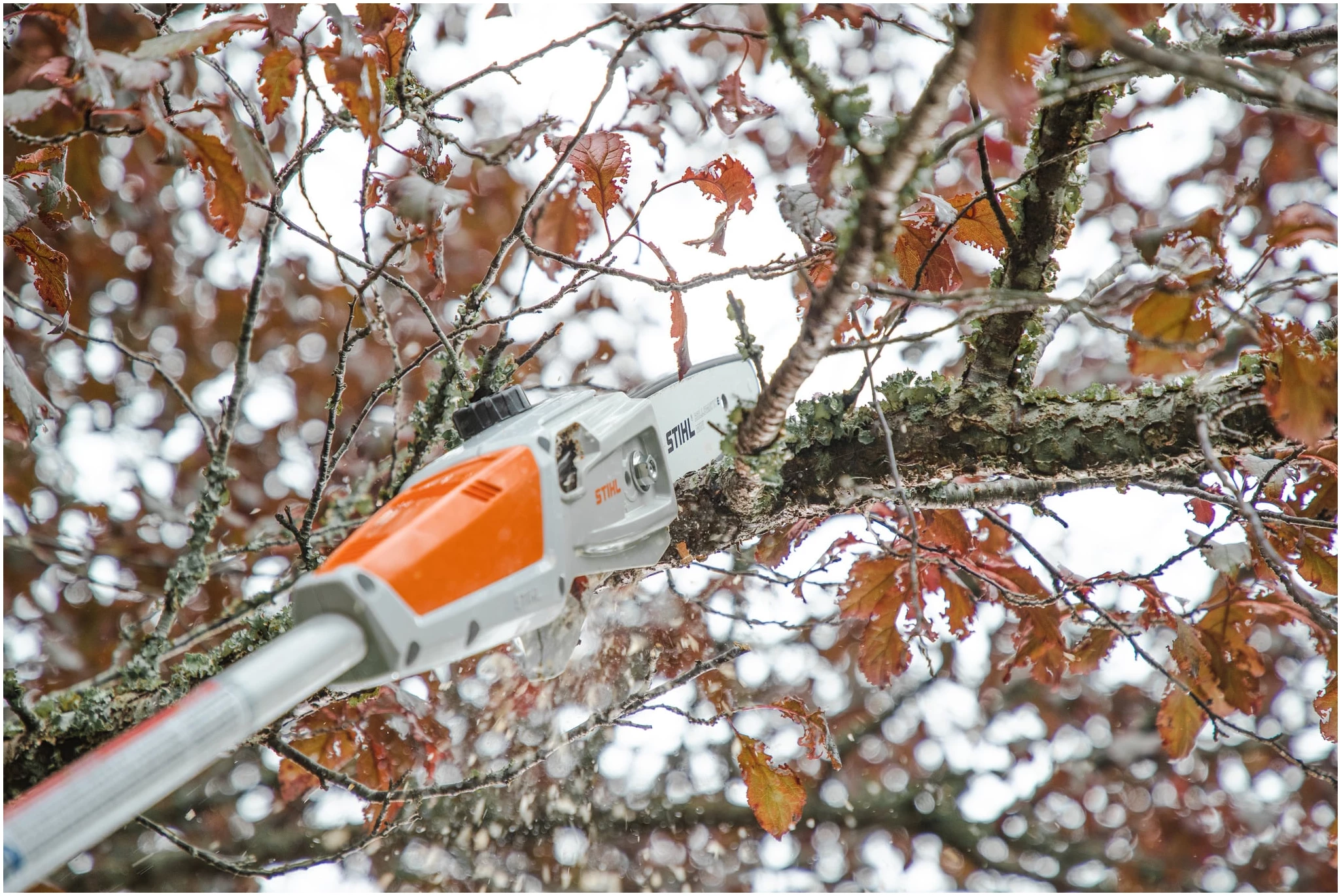 STIHL SRAMATORE HTA 50 L'HTA 50 di STIHL è uno sramatore a batteria progettato per la cura di alberi e arbusti, ideale per utenti privati che cercano praticità ed...