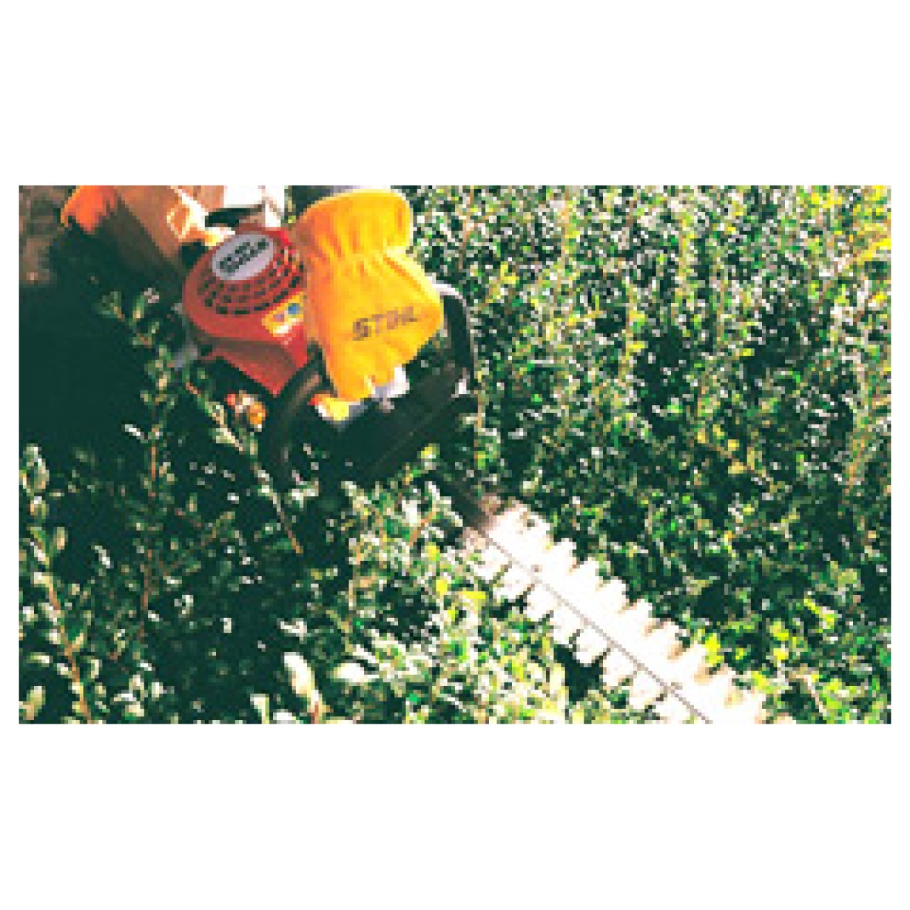 Il Tosasiepi HS 45 di STIHL è uno strumento ideale per la cura e la potatura delle siepi nel giardino di casa. Questo modello di tagliasiepi offre...