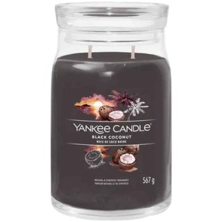 Lasciati avvolgere da un'atmosfera esotica e sofisticata con la candela Yankee Candle Black Coconut. La sua fragranza ricca e avvolgente mescola il...