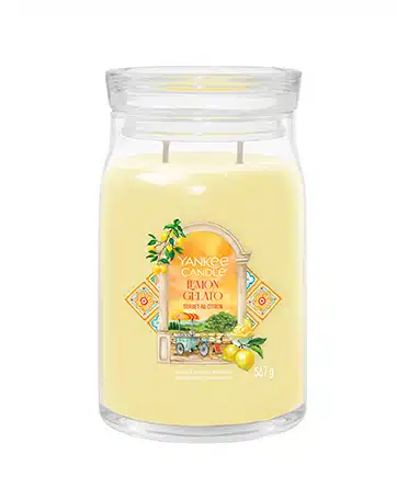 La candela Lemon Gelato è una sinfonia di freschezza e dolcezza che evoca l'atmosfera di una calda giornata estiva. Le note di testa di limone...