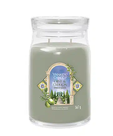 La candela Olive Cypress è una fragranza sofisticata e avvolgente che porta con sé l'essenza della natura mediterranea. Le note di testa si aprono...
