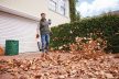 STIHL SOFFIATORE A BATTERIA BGA 50 Il modello BGA 50 di STIHL è un soffiatore a batteria di ultima generazione, ideale per gli appassionati di giardinaggio che cercano un dispositivo...