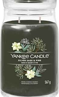 Candela profumata in giara media della linea Signature con fragranza legnosa a base di salvia e aghi di pino. Giara in vetro con coperchio, 2 knoti...