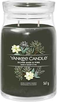 YANKEE CANDLE JAR SILVER SAGE/PINE 368G Candela profumata in giara media della linea Signature con fragranza legnosa a base di salvia e aghi di pino. Giara in vetro con coperchio, 2 knoti...