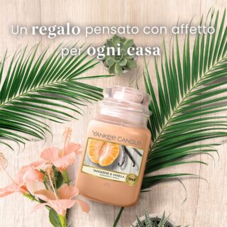 Candela profumata in giara media Signature dal profumo agrumato-gourmand: mandarino frizzante e vaniglia cremosa. Formato in vetro con due stoppini e...