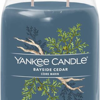 Candela profumata in vaso della linea Signature con fragranza Fresh & Clean che unisce note agrumate a fondo caldo di cedro e ambra. Vaso moderno con...