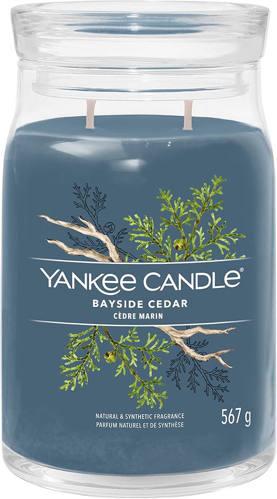YANKEE CANDLE JAR BAYSIDE 567G Candela profumata in vaso della linea Signature con fragranza Fresh & Clean che unisce note agrumate a fondo caldo di cedro e ambra. Vaso moderno con...